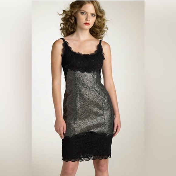 Diane Von Furstenberg Dresses & Skirts - Diane Von Furstenberg Olivette Dress in Silver/Black